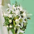 lilies, white roses, acuba leaves, ruscus leaves